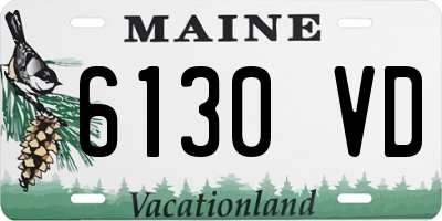 ME license plate 6130VD