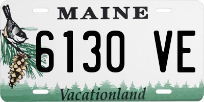ME license plate 6130VE