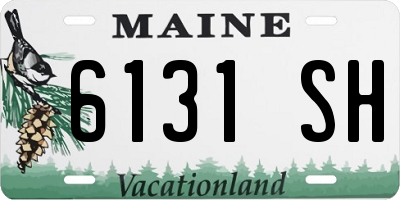ME license plate 6131SH