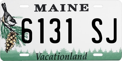 ME license plate 6131SJ