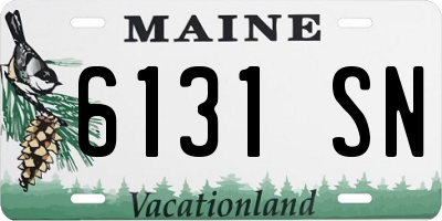 ME license plate 6131SN