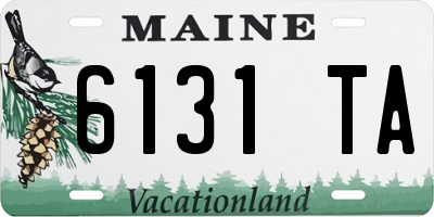 ME license plate 6131TA