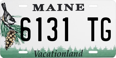 ME license plate 6131TG