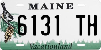 ME license plate 6131TH
