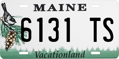 ME license plate 6131TS
