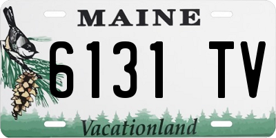 ME license plate 6131TV