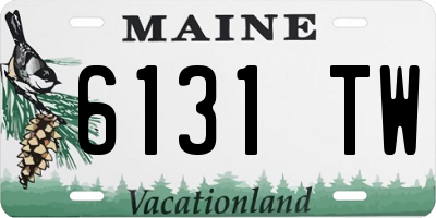 ME license plate 6131TW