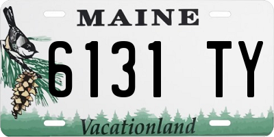 ME license plate 6131TY