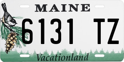 ME license plate 6131TZ