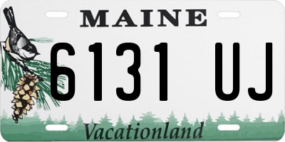 ME license plate 6131UJ