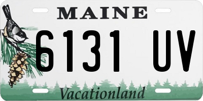 ME license plate 6131UV