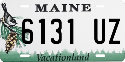 ME license plate 6131UZ