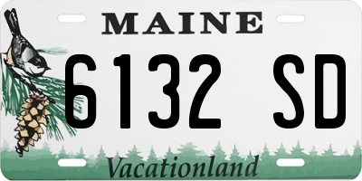 ME license plate 6132SD