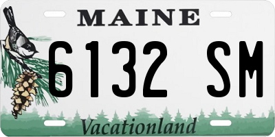 ME license plate 6132SM