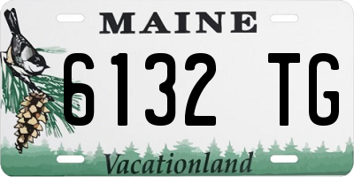 ME license plate 6132TG