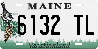 ME license plate 6132TL