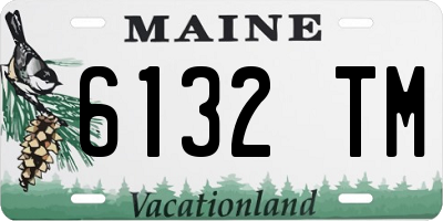 ME license plate 6132TM