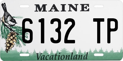 ME license plate 6132TP