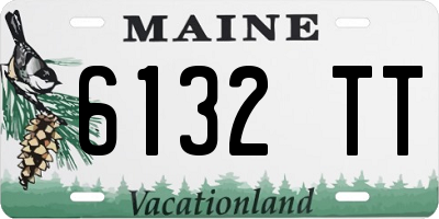 ME license plate 6132TT