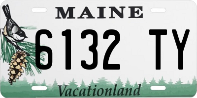 ME license plate 6132TY