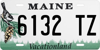 ME license plate 6132TZ