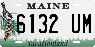 ME license plate 6132UM