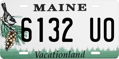 ME license plate 6132UO