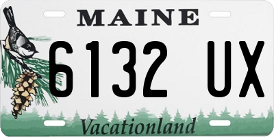 ME license plate 6132UX
