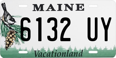 ME license plate 6132UY