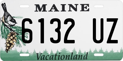 ME license plate 6132UZ