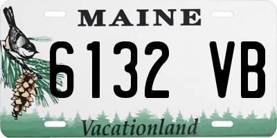 ME license plate 6132VB