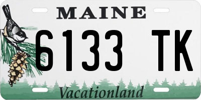 ME license plate 6133TK