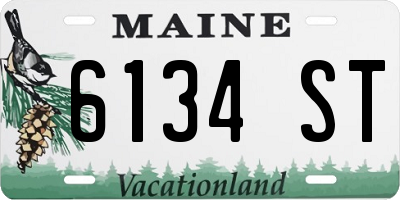 ME license plate 6134ST