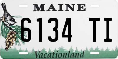 ME license plate 6134TI