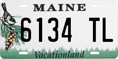 ME license plate 6134TL