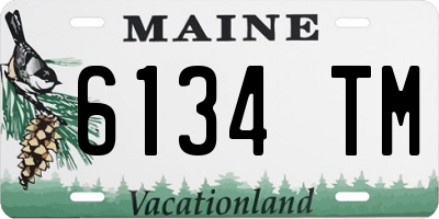 ME license plate 6134TM