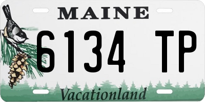ME license plate 6134TP