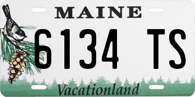 ME license plate 6134TS