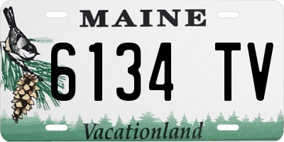 ME license plate 6134TV