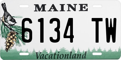 ME license plate 6134TW