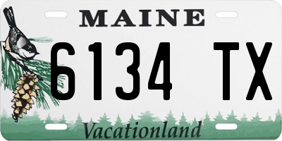 ME license plate 6134TX
