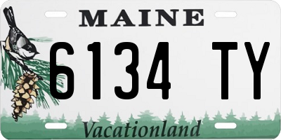 ME license plate 6134TY