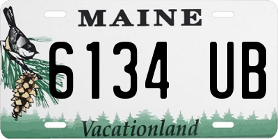 ME license plate 6134UB