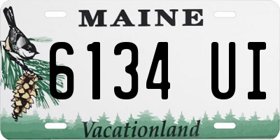 ME license plate 6134UI