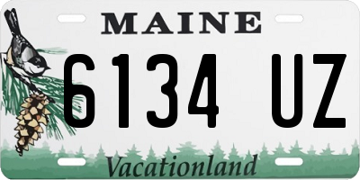 ME license plate 6134UZ