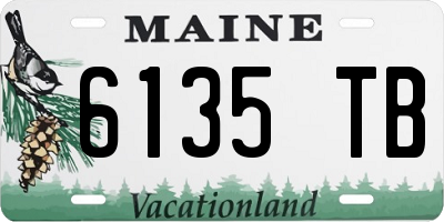 ME license plate 6135TB