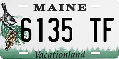 ME license plate 6135TF