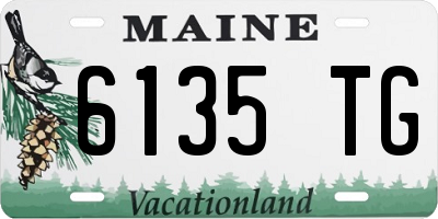 ME license plate 6135TG