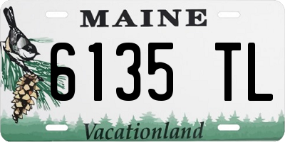 ME license plate 6135TL