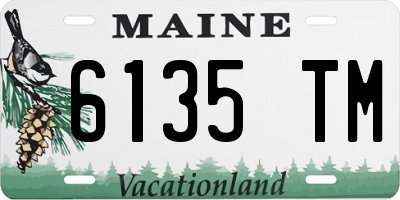 ME license plate 6135TM